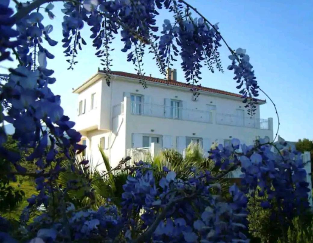 Kalamies - Secluded Beach Apartments Skala  المظهر الخارجي الصورة